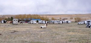 Base Camp - Rocky Mountain Vizsla Club's Inaugural Walking Field Trial